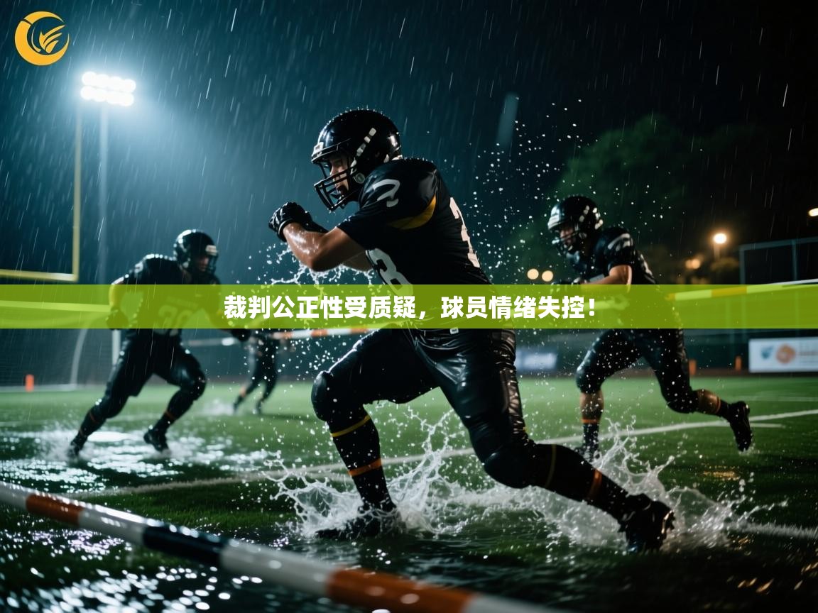 裁判公正性受质疑,球员情绪失控! 第1张