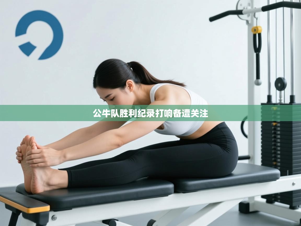 公牛队胜利纪录打响备遭关注  第1张