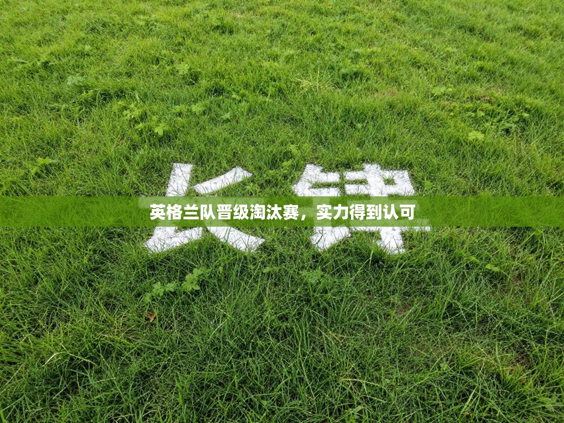 英格兰队晋级淘汰赛，实力得到认可  第2张
